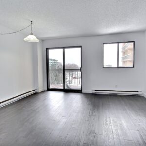 Espace salon-salle à manger
