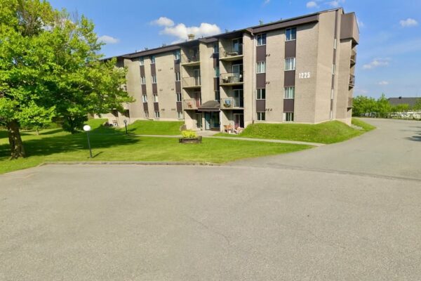 591176239 24878293268537548 6500866561423208106 n