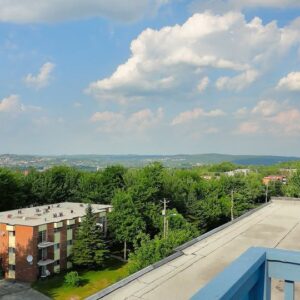 486554976 1176472366992471 6393433385969633339 n