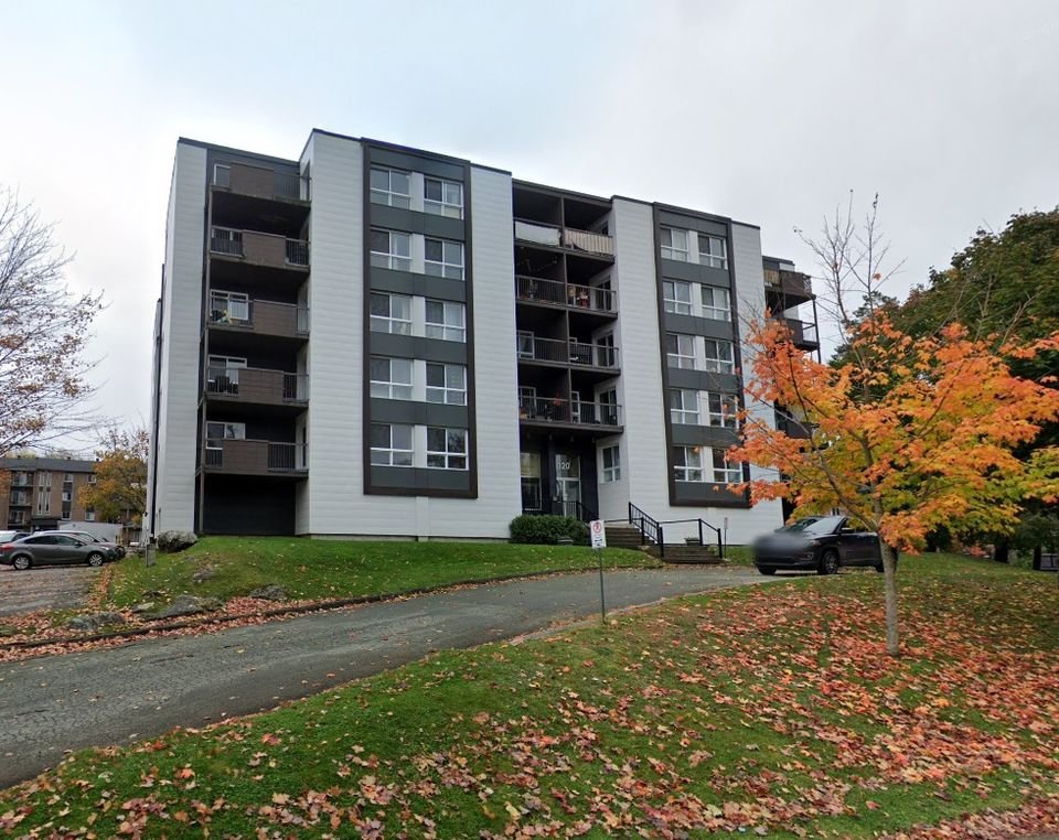 491801402 1382443636122115 3786817557305354180 n