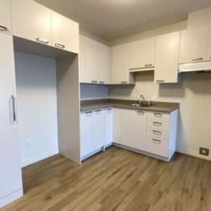 494670948 1205026754367901 7162785189173273020 n