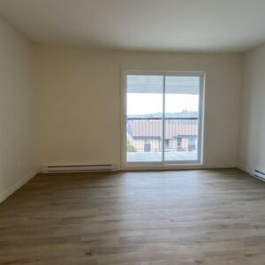 495358999 1940492353446730 6296261973381402500 n