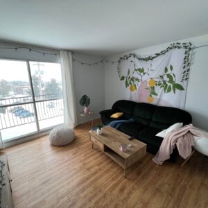 328267428 508224588159289 621184918885947769 n