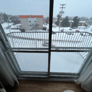 329936781 1571377356693916 5269623852601860646 n