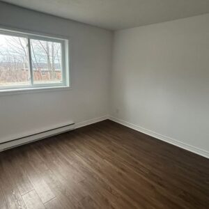 553843895 1959335998246265 9218740959948009361 n