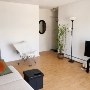 salon 1