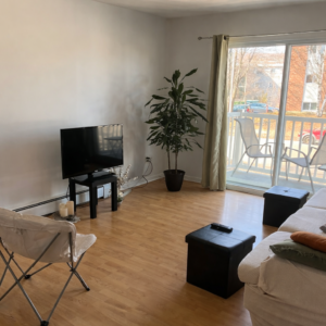 salon 2